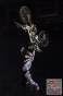 www_PhotoFloh_de_NightOfTheJumps_SAPArena_Mannheim_10_05_2014_048