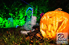 www_PhotoFloh_de_Private_Halloween-Party_Silz_31_10:2022_036